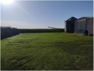 Recurso 134 CAMPO 600 MILLONES