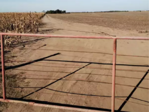 Recurso 136 CAMPO 600 MILLONES